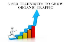 5 SEO Techniques To Grow Organic Traffic